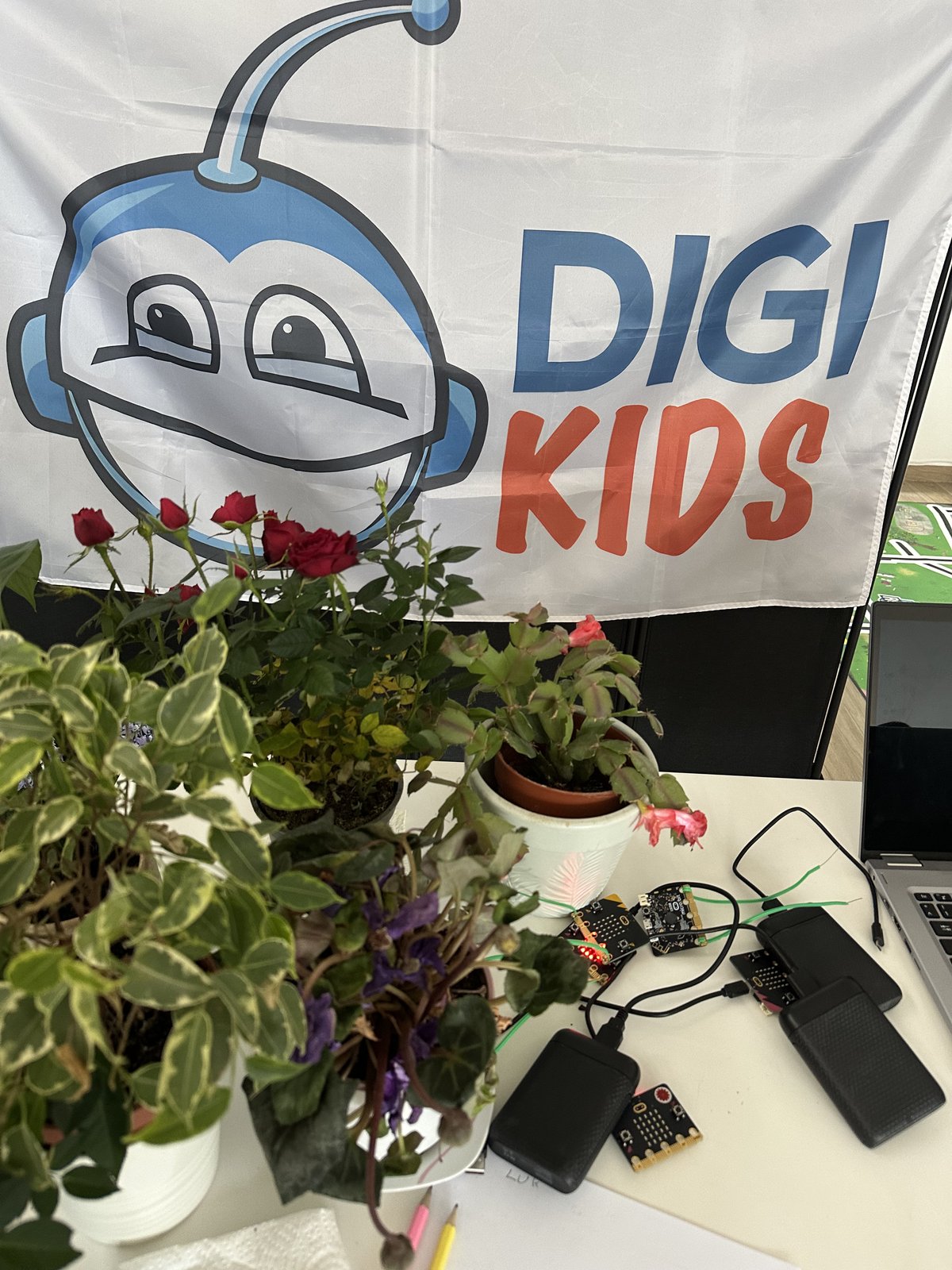 DigiKids zastava i Micro:bit ploče